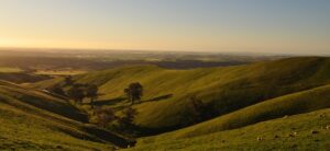 Steingarten Rd view 1