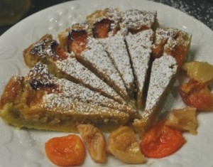 Facebook (23) apricot dish S