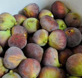 Recipe: Sweet Spiced Fig and Fortified Compote