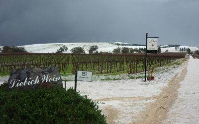 Barossa Winter Storm Looked Like Snow