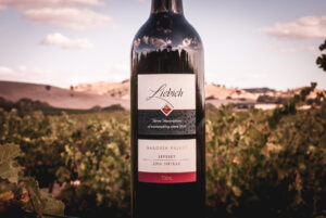 Leveret Shiraz bottle vineyard autumn landscape 13x9