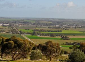 Barossa view Menglers Hill in winter