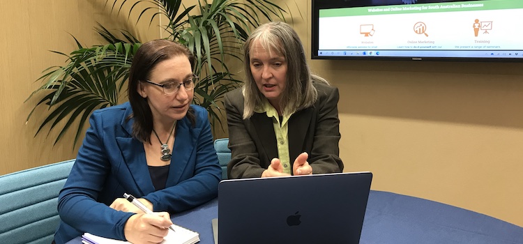 Fiona DIY Digital business advisory session